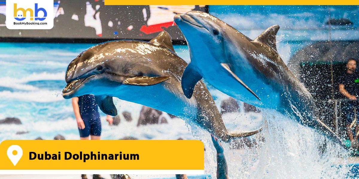 Dubai Dolphinarium