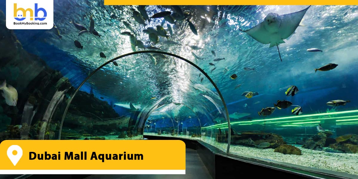 Dubai Mall Aquarium 