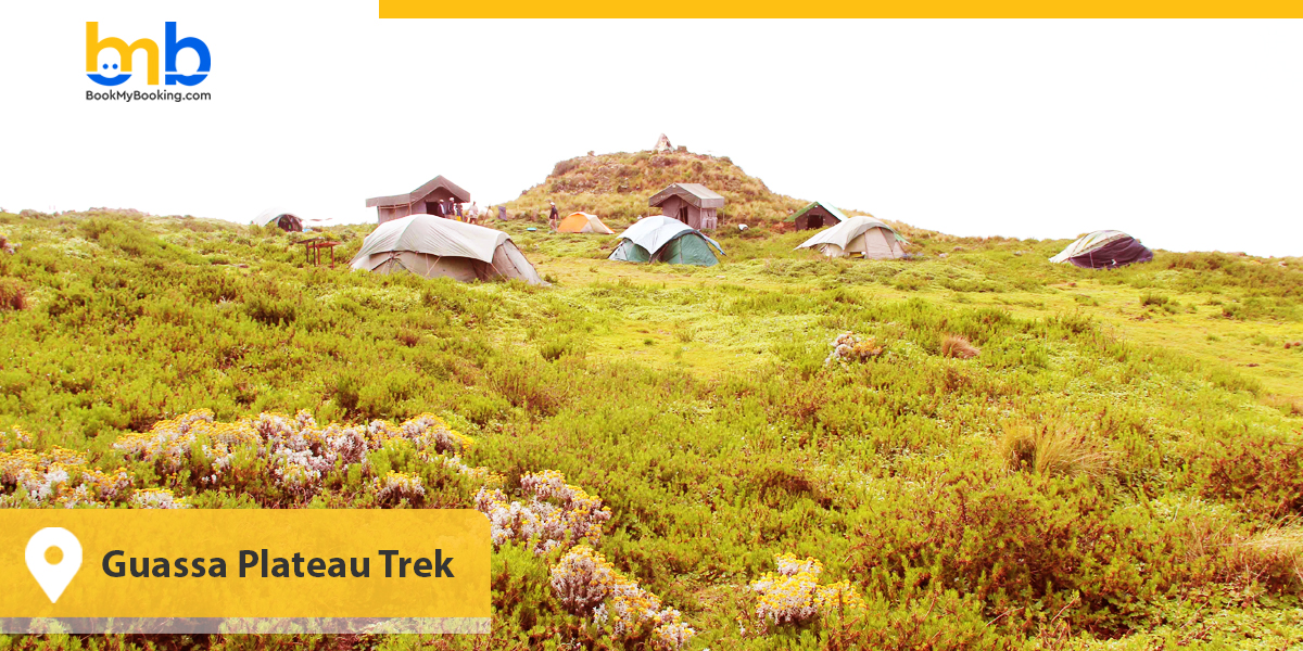 Guassa Plateau Trek