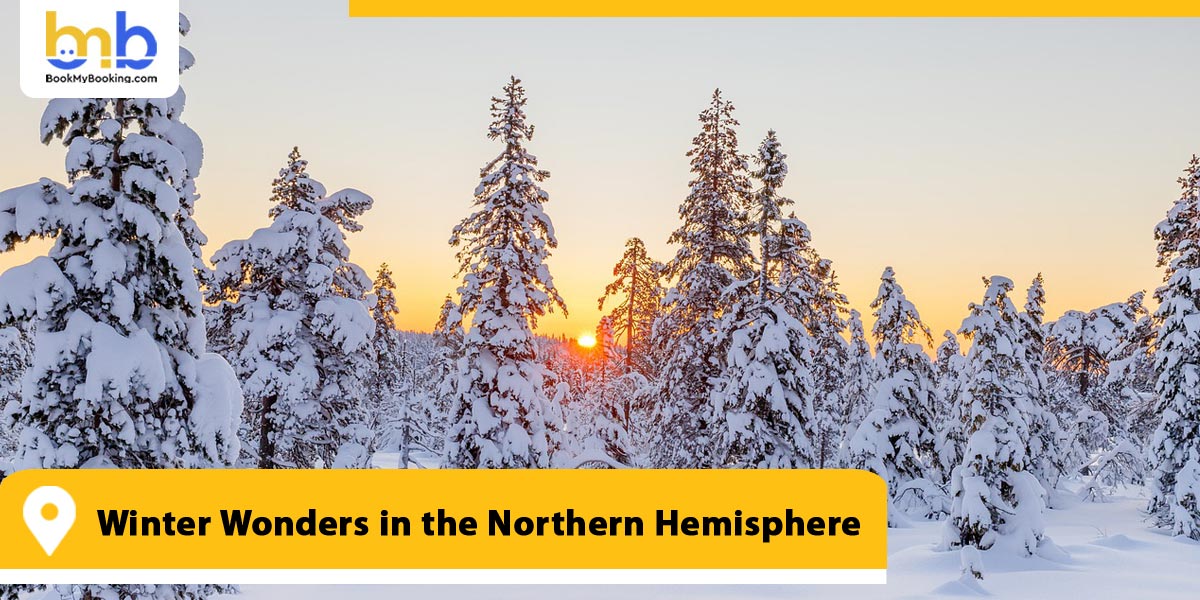 Winter Wonders in the Northern Hemisphere