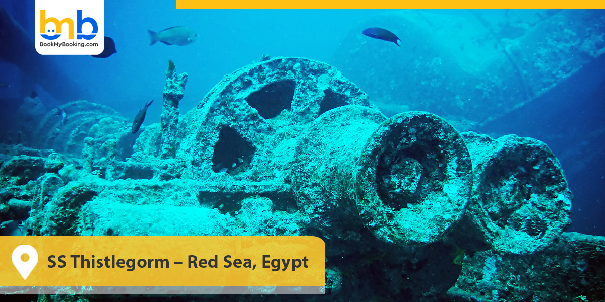 SS Thistlegorm – Red Sea, Egypt