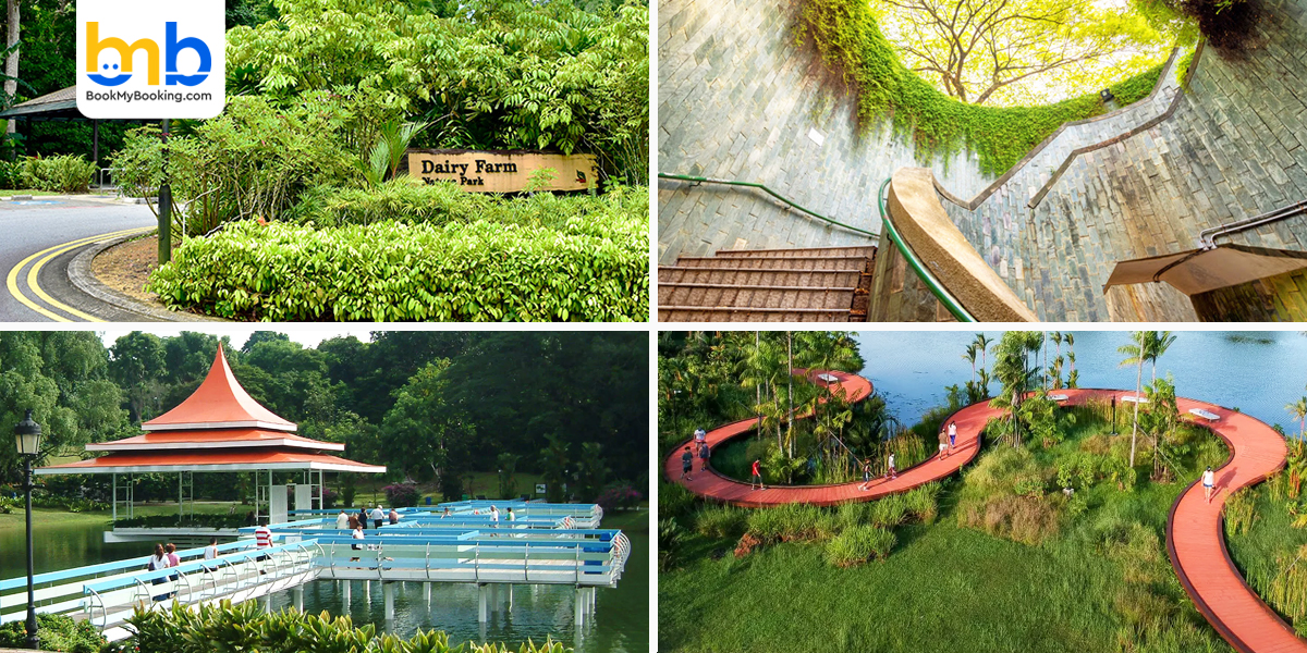 Dairy Farm Nature Park