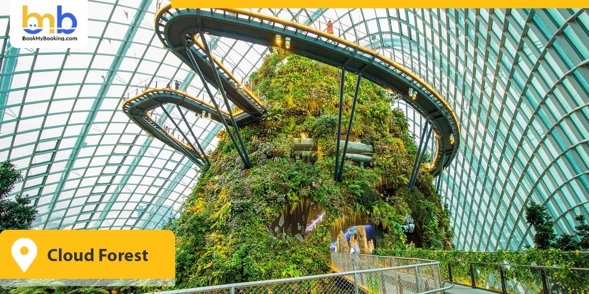 Cloud Forest